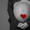 26 недель беременности эко двойня плотный живот